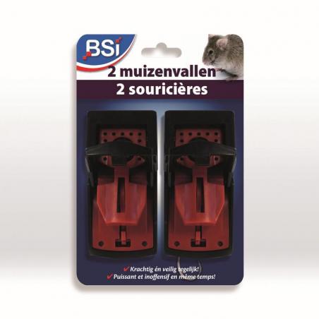 BSI Multi-Muizenval | 1 st.